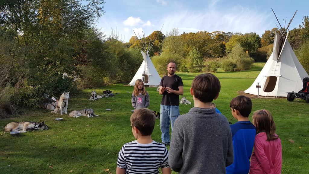 Les Tipis du Bonheur de Vivre Hotel Brûlon Eksteriør billede